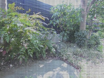 Privacy gaas zwarte kant (normaal)